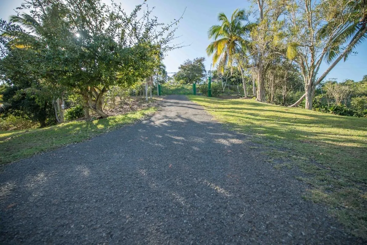 Hacienda Rolon Apartment Mayaguez