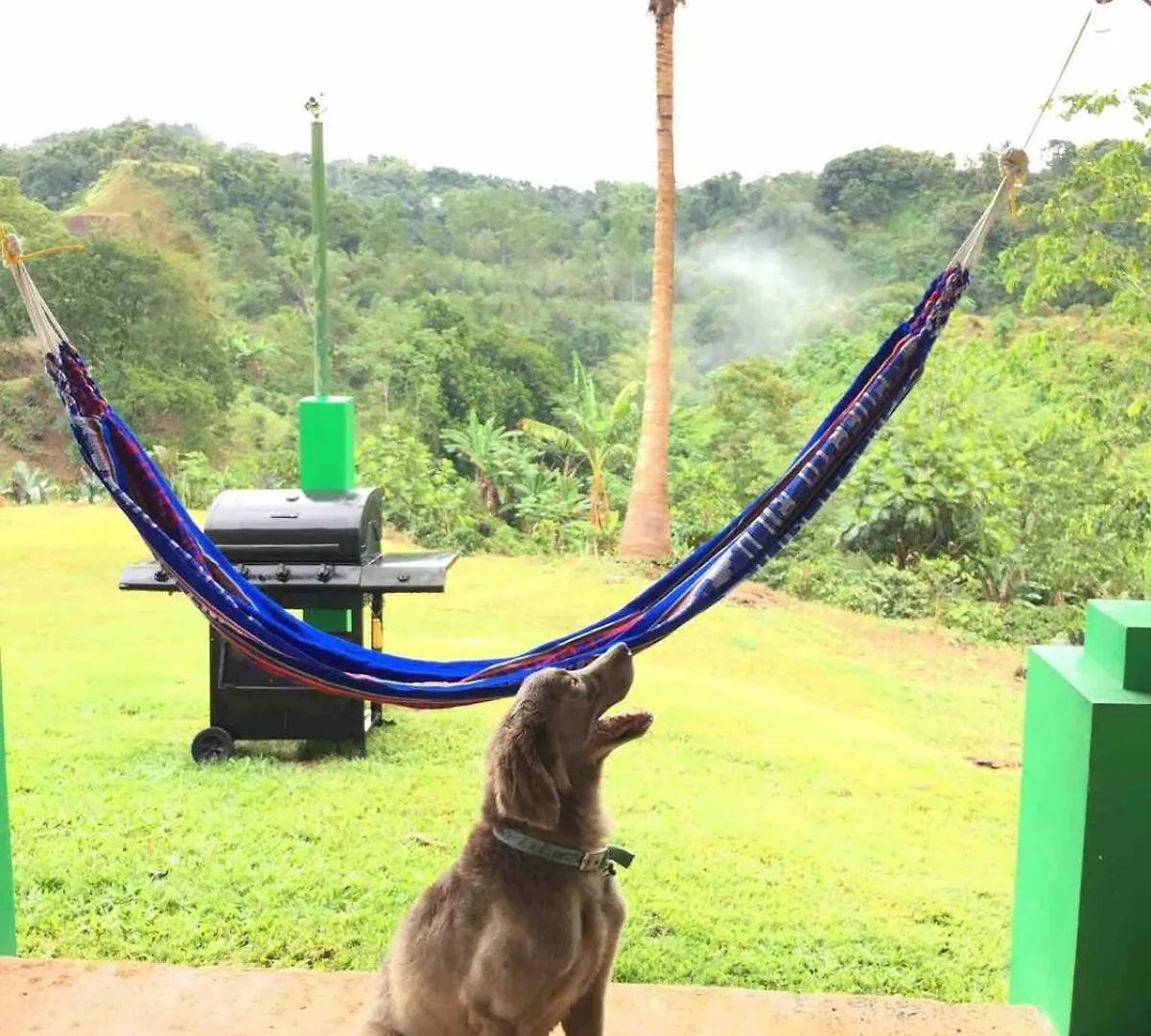 Hacienda Rolon Apartment Mayaguez